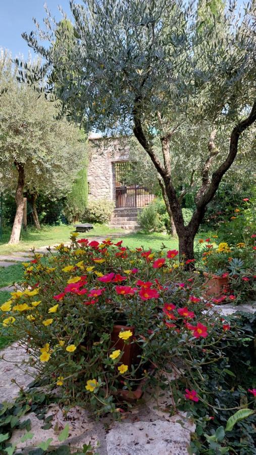 Azienda Agrituristica Corteforte Фумане Екстер'єр фото