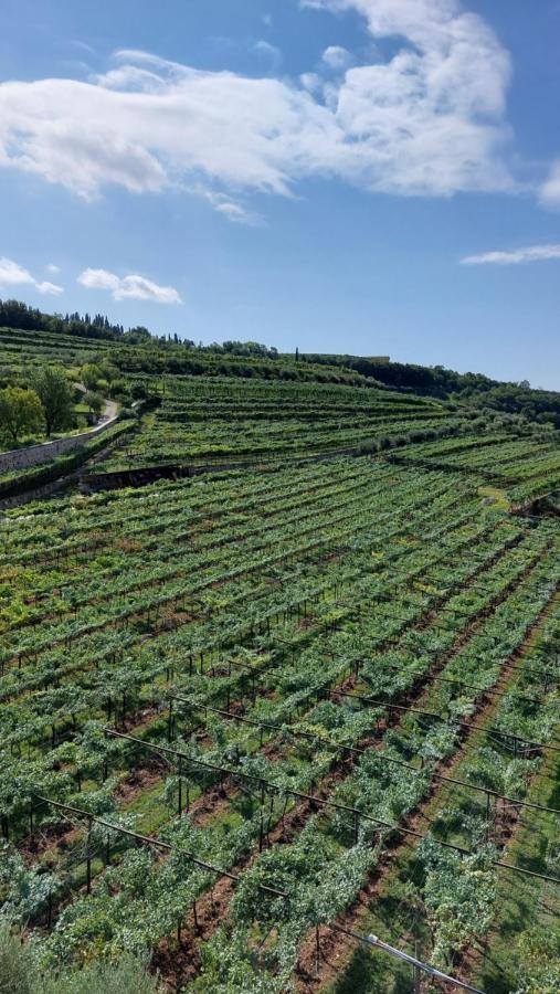 Azienda Agrituristica Corteforte Фумане Екстер'єр фото