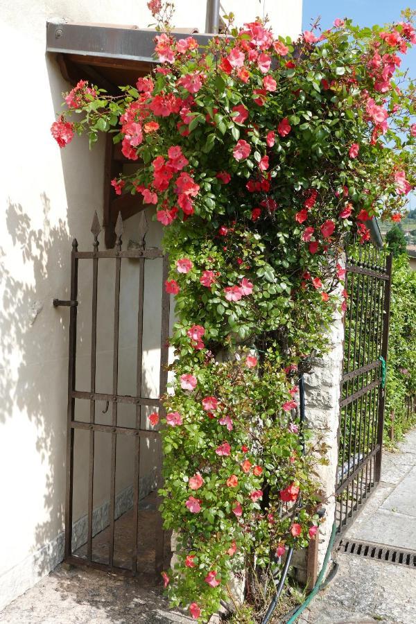 Azienda Agrituristica Corteforte Фумане Екстер'єр фото