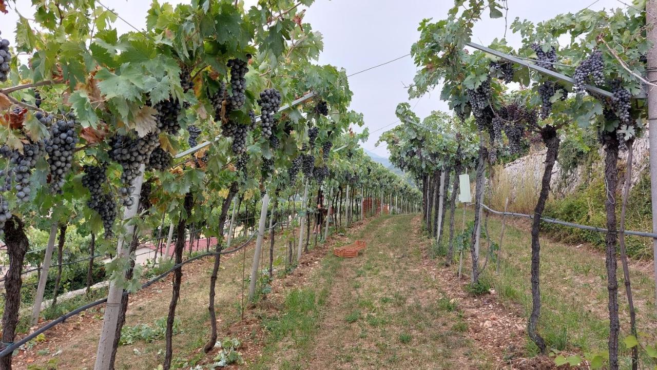 Azienda Agrituristica Corteforte Фумане Екстер'єр фото