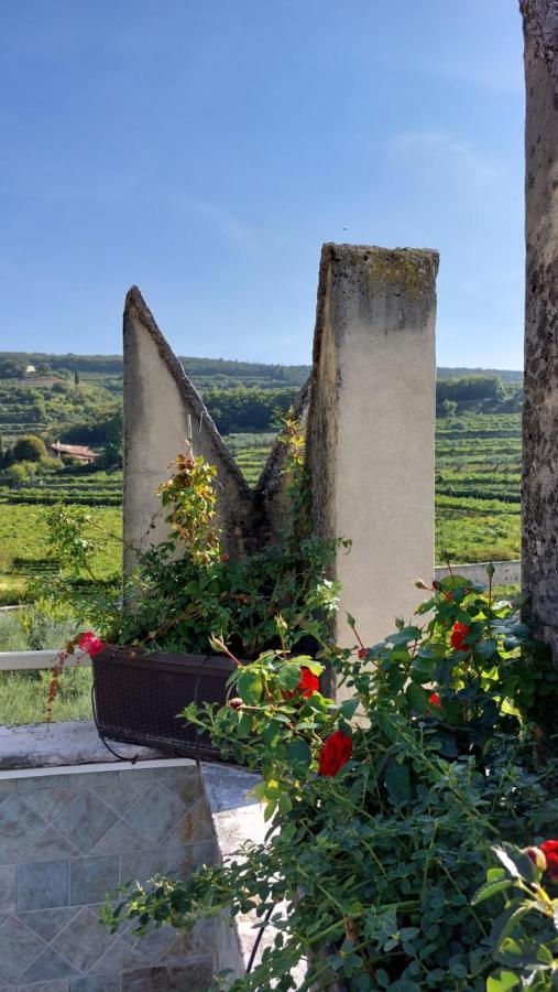 Azienda Agrituristica Corteforte Фумане Екстер'єр фото