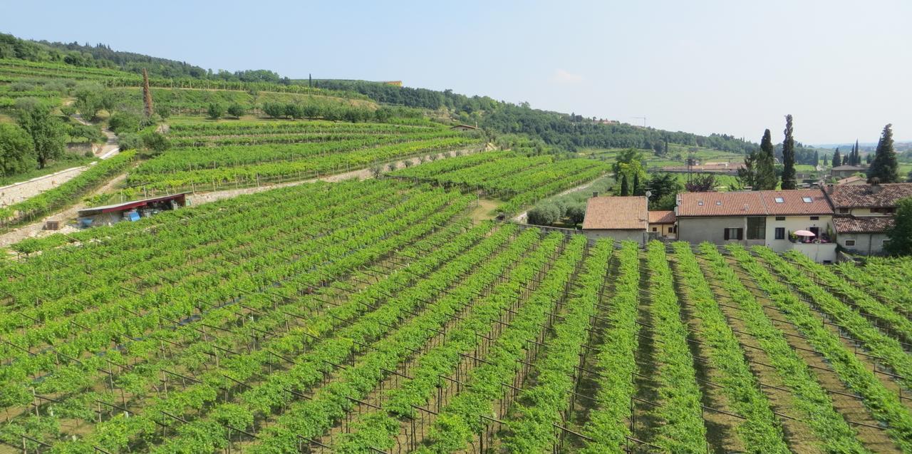 Azienda Agrituristica Corteforte Фумане Екстер'єр фото